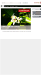 Mobile Screenshot of mediacenter.symrise.com